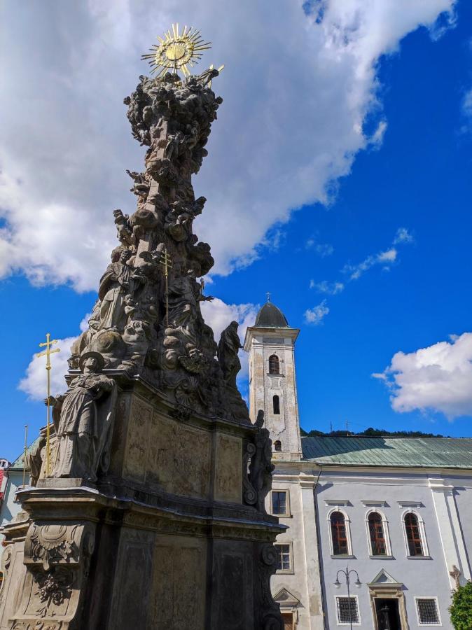 クレムニツァKrizkov Domアパートメント エクステリア 写真