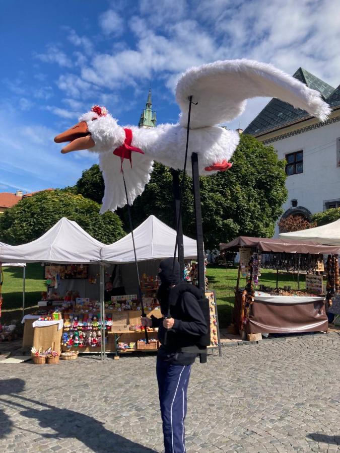 クレムニツァKrizkov Domアパートメント エクステリア 写真